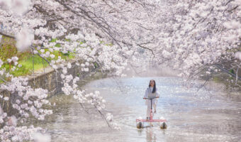 お花見水上サイクリング【BEB5土浦 by 星野リゾート】