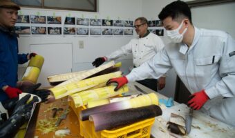 竹を「食材」として活用 メンマづくりに挑戦【ホテルコンチネンタル府中】